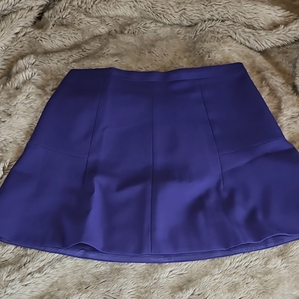 J.Crew Skirt